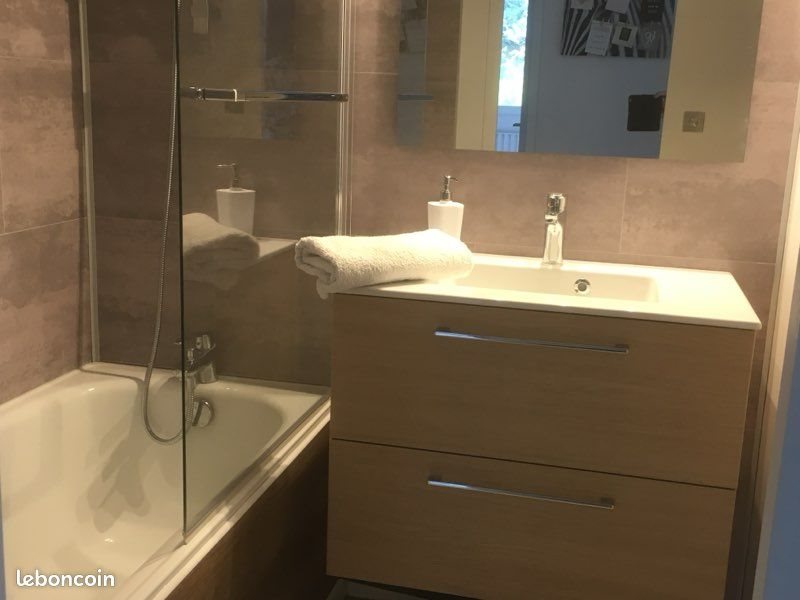 Appartement à louer, 45m², Saint-Etienne