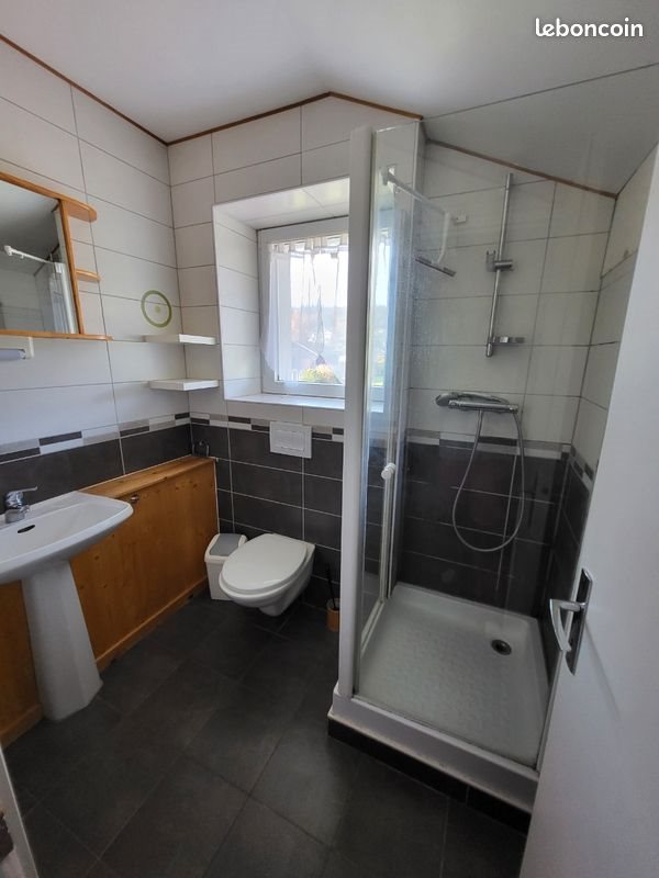 Appartement à louer, 36m², Les Grangettes