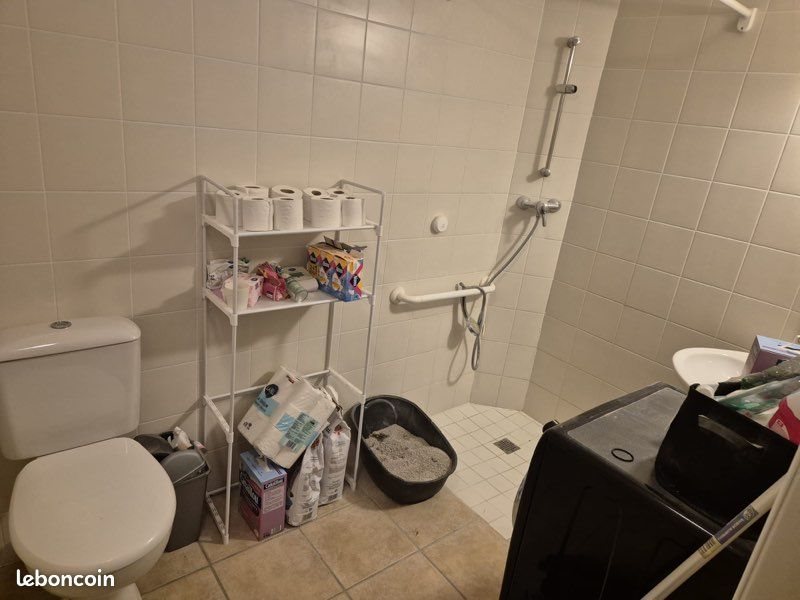 Appartement à louer, 55m², Barbaste