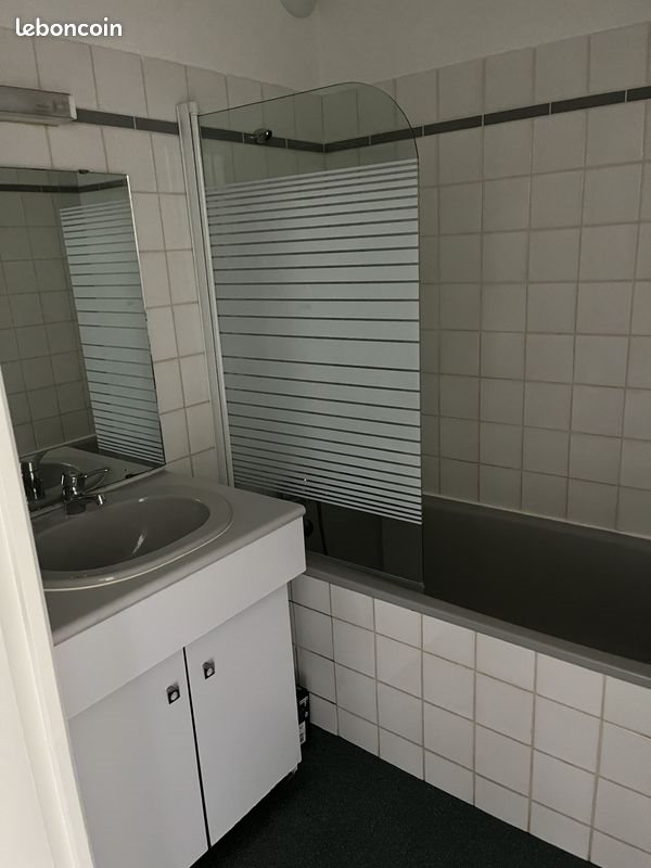 Appartement à louer, 43m², Nancy