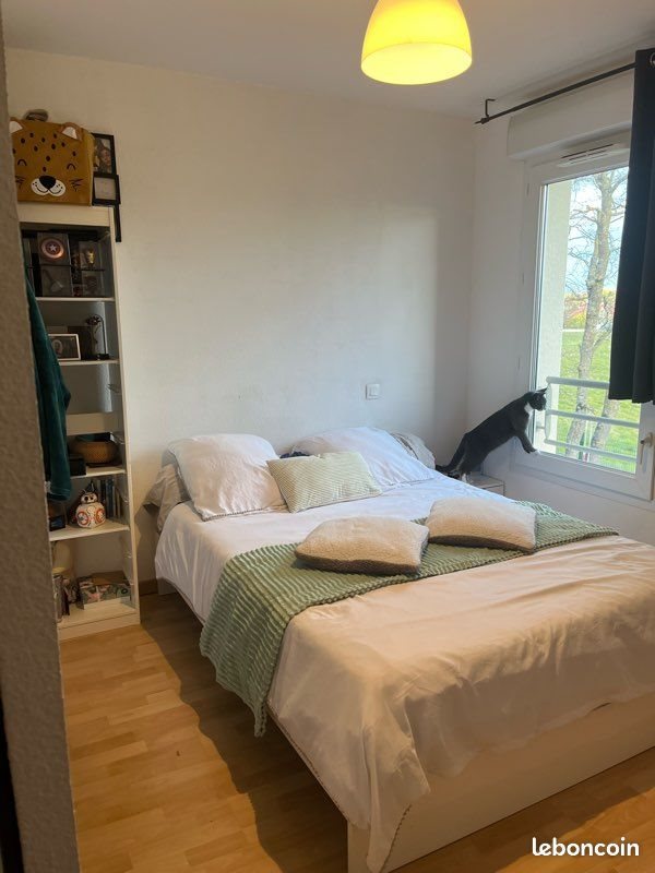 Appartement à louer, 44m², Vernet