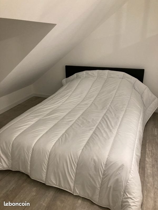 Appartement à louer, 50m², Chinon