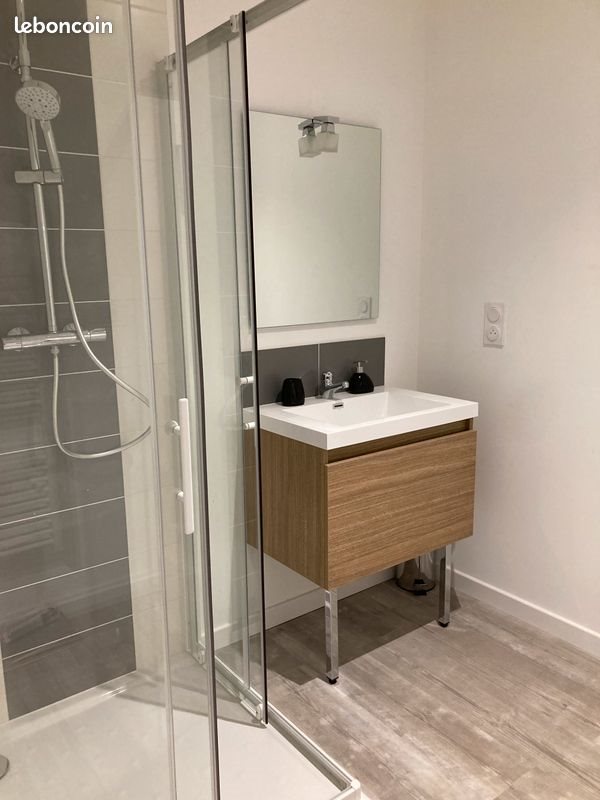 Appartement à louer, 50m², Chinon