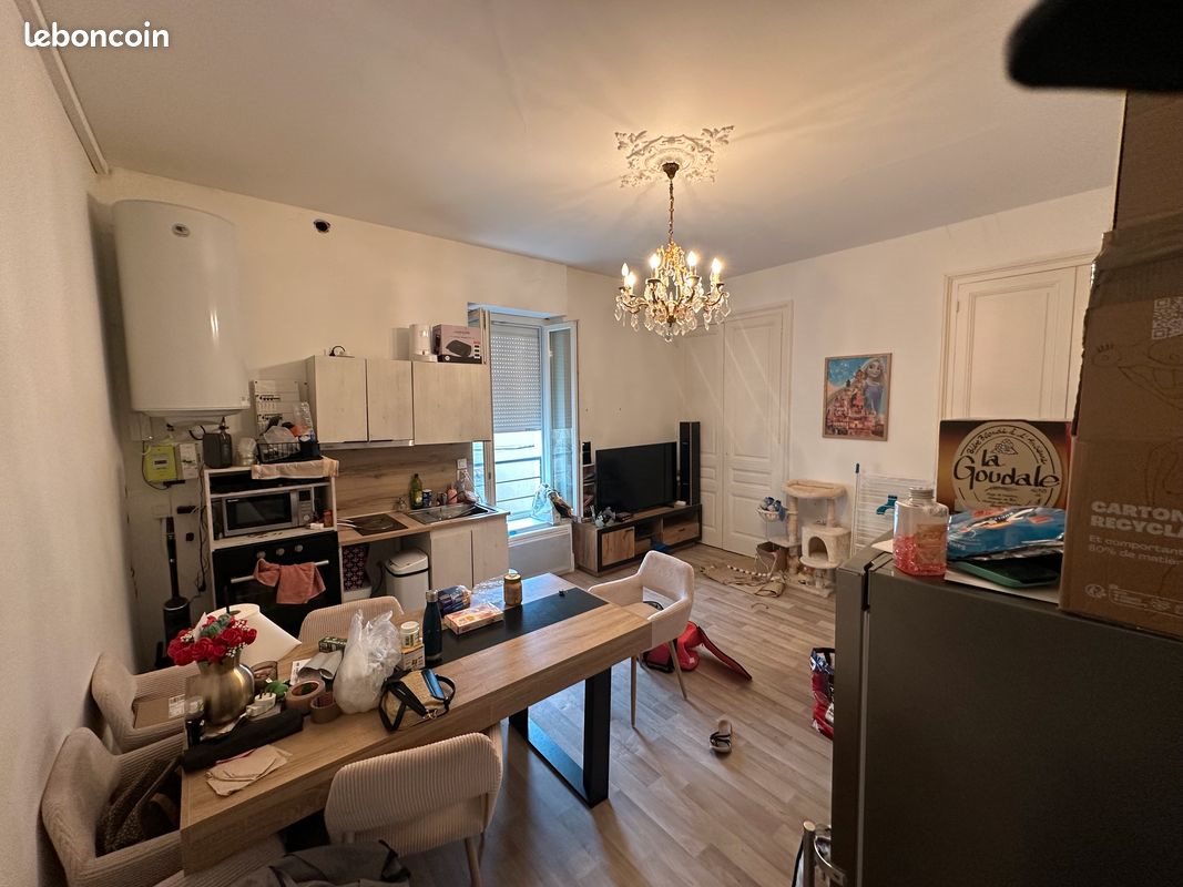 Appartement à louer, 48m², Saint-Martin-la-Plaine