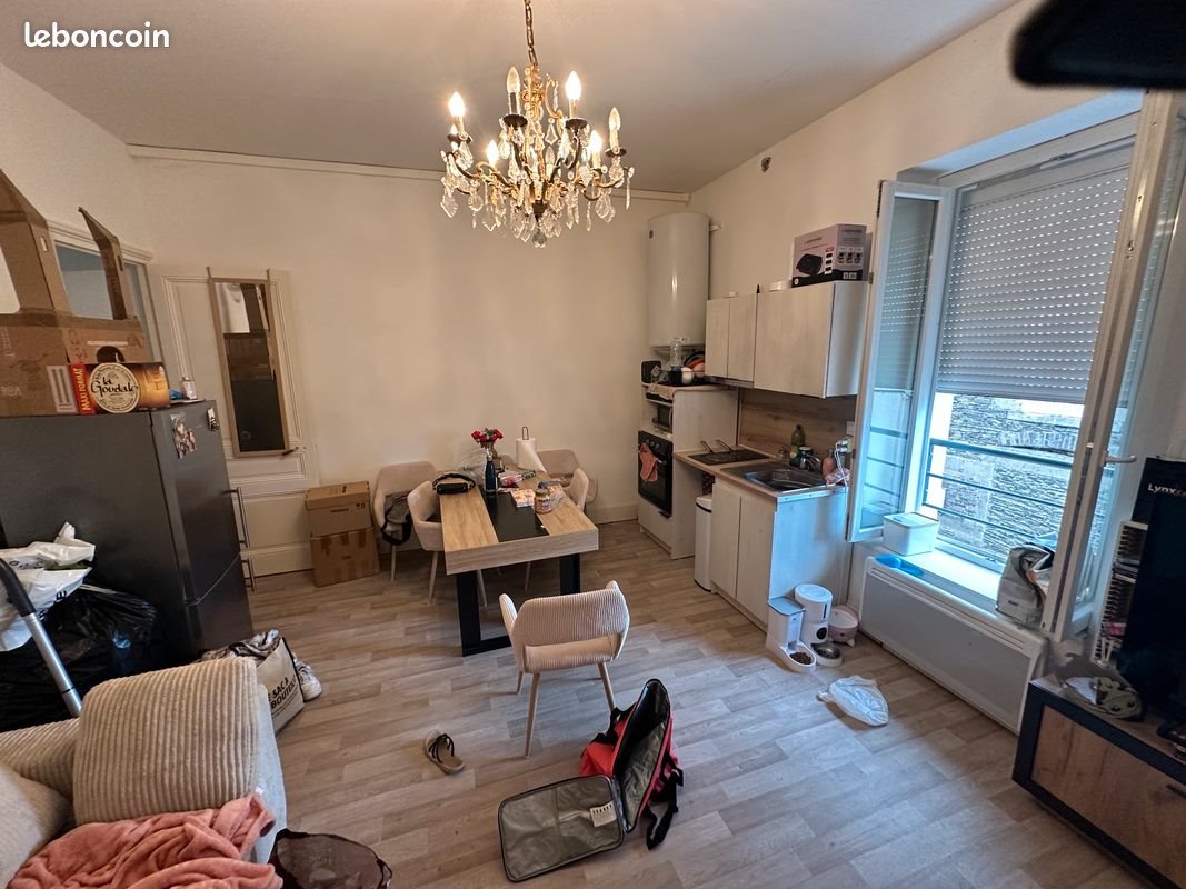 Appartement à louer, 48m², Saint-Martin-la-Plaine