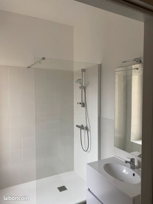 Appartement à louer, 48m², Saint-Martin-la-Plaine