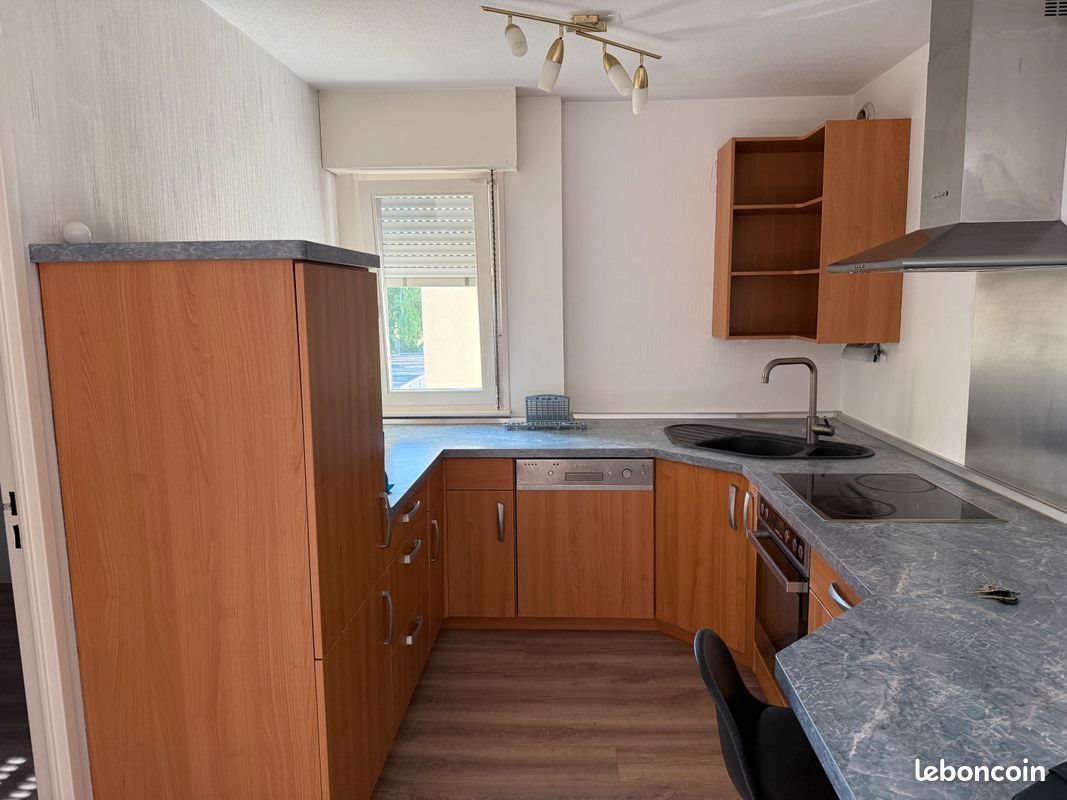 Appartement à louer, 54m², Schiltigheim
