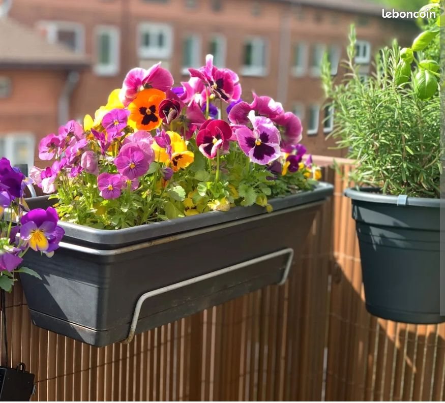 Appartement à louer, 75m², Les Lilas