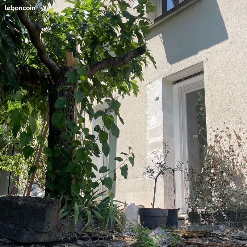 Appartement à louer, 25m², Aubenas