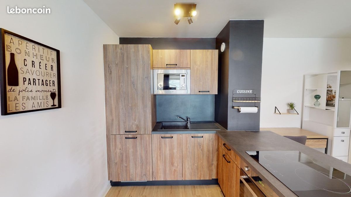Appartement à louer, 45m², Lille