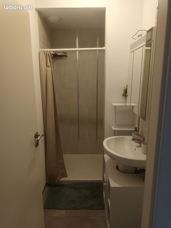 Appartement à louer, 55m², Mulhouse