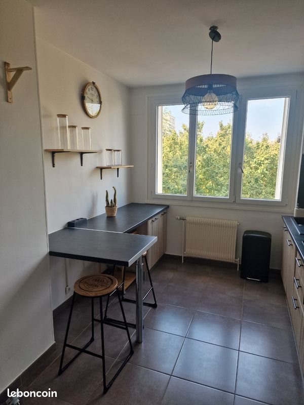 Appartement à louer, 46m², Villeurbanne