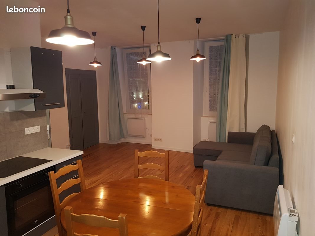 Appartement à louer, 49m², Albertville