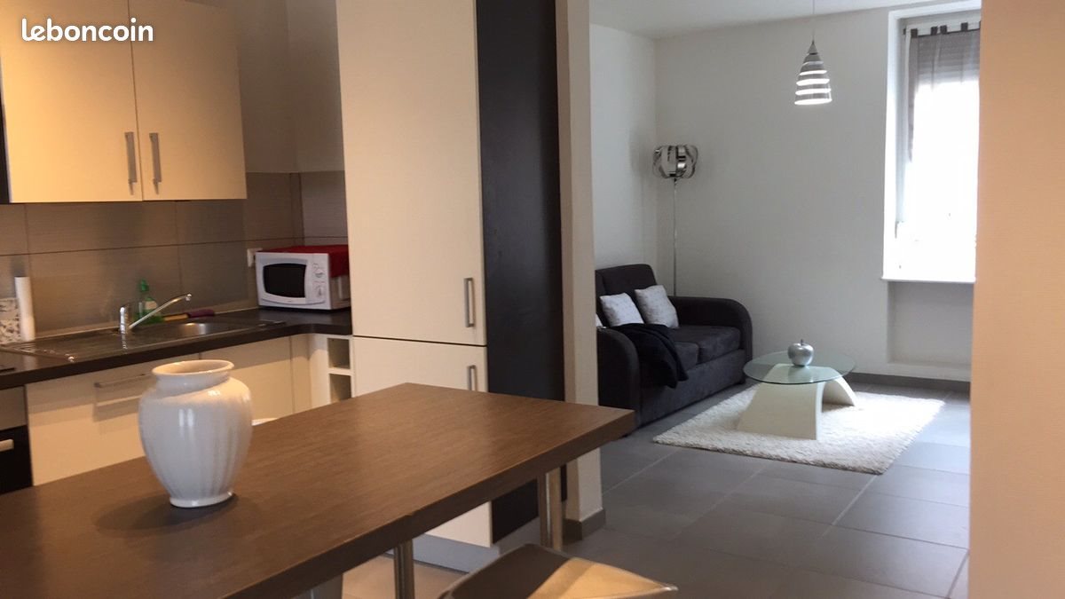Appartement à louer, 55m², Colmar