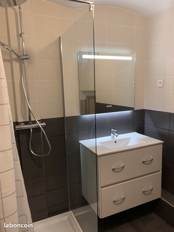 Appartement à louer, 38m², Saint-Etienne