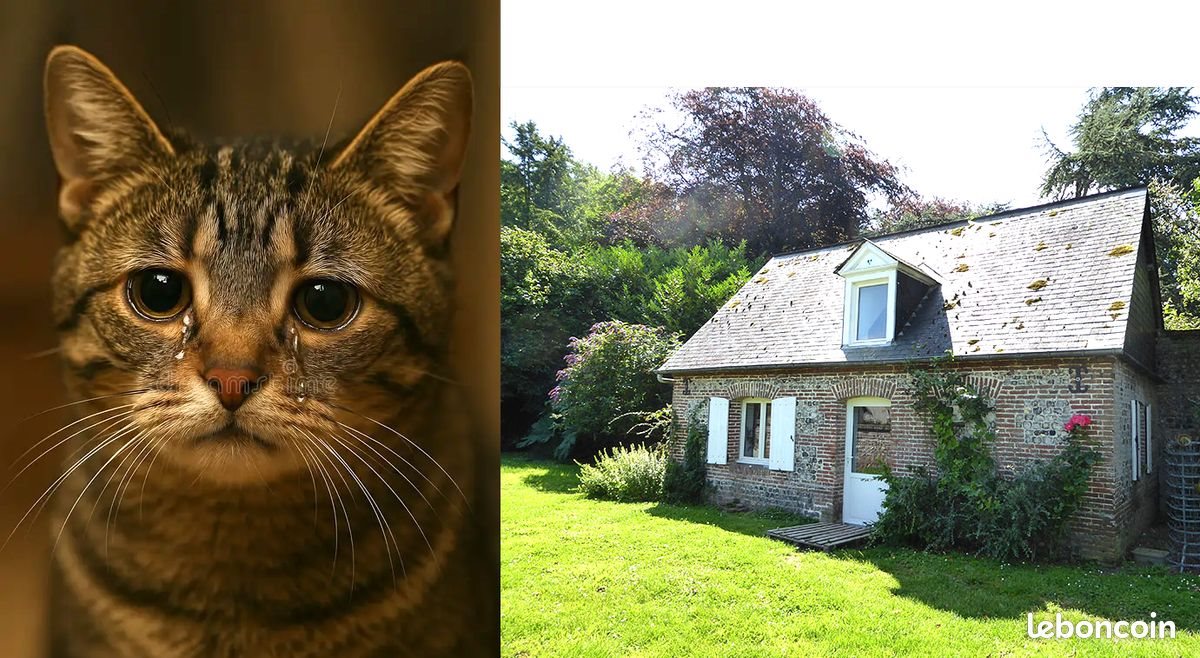 Maison à louer, 50m², Jarnac-Champagne