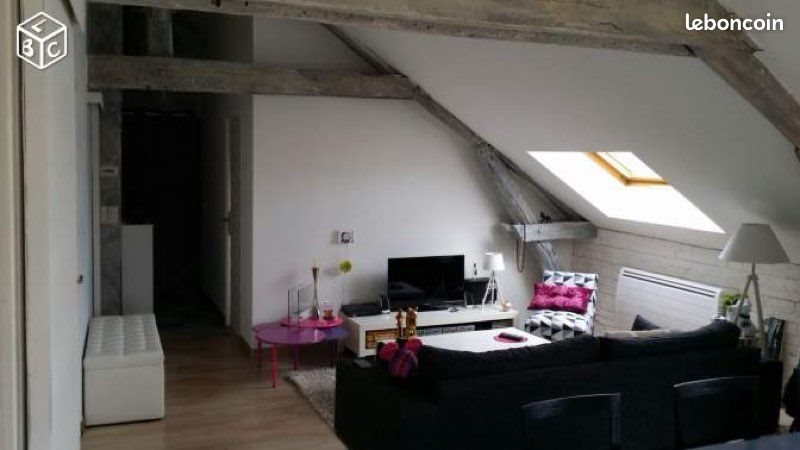 Appartement à louer, 45m², Saint-Jean-de-la-Ruelle
