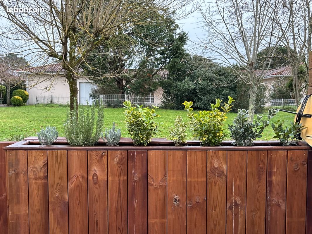 Appartement à louer, 32m², Biscarrosse