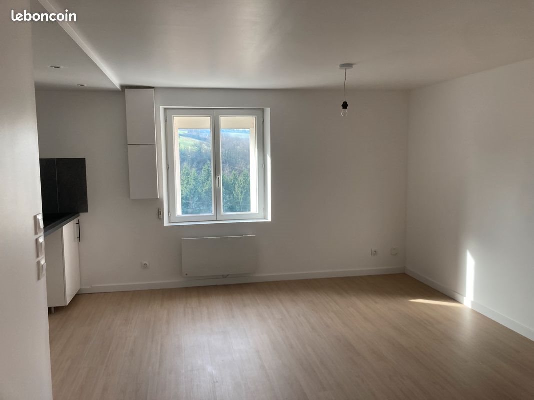 Appartement à louer, 25m², Saint-Genest-Lerpt