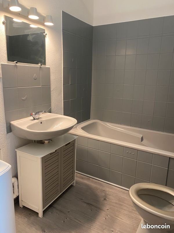 Appartement à louer, 44m², Belfort