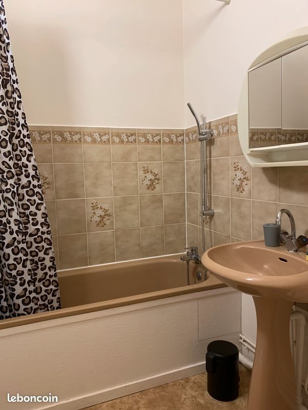 Appartement à louer, 22m², Nancy