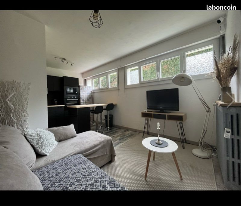 Appartement à louer, 33m², Royat
