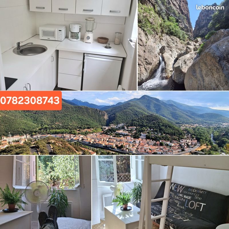 Appartement à vendre, 19m², Amélie-les-Bains-Palalda