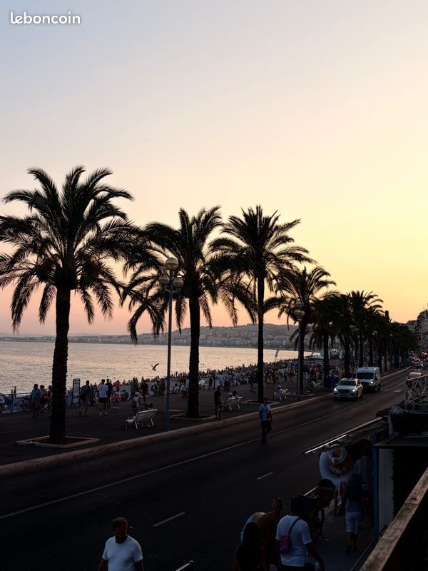 Appartement à louer, 30m², Nice