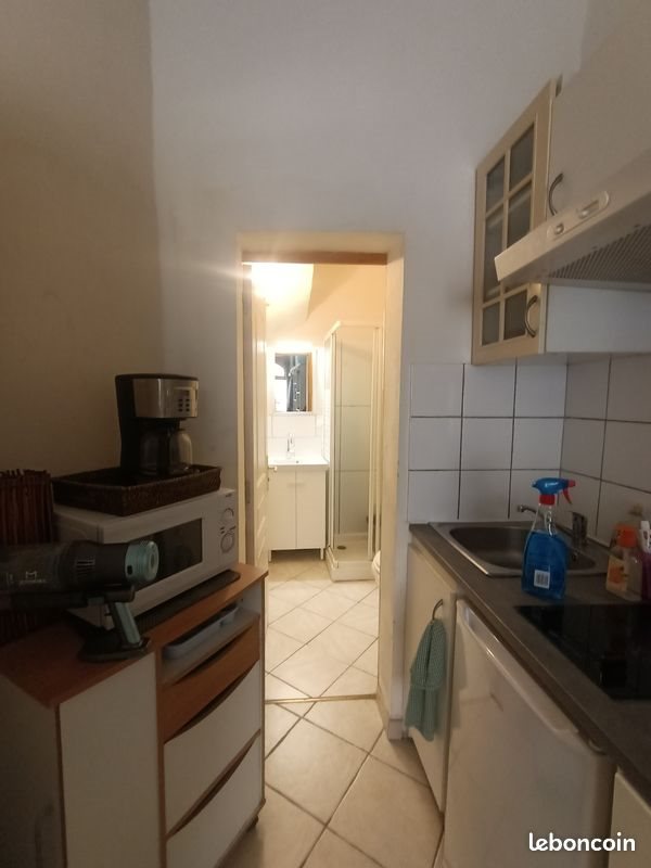 Appartement à louer, 20m², Rognes