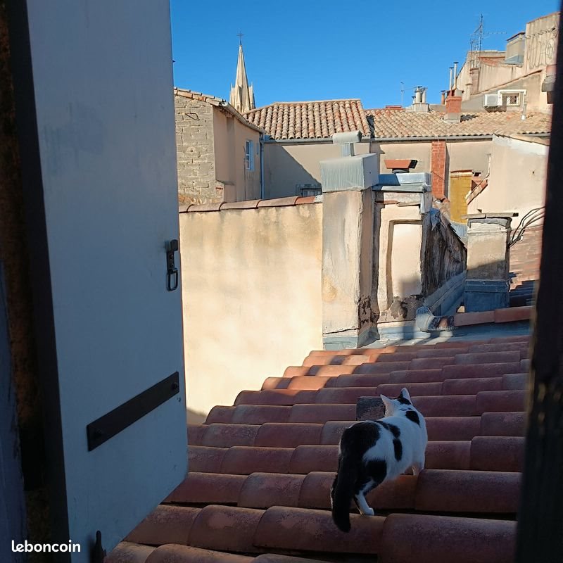 Appartement à vendre, 54m², Montpellier