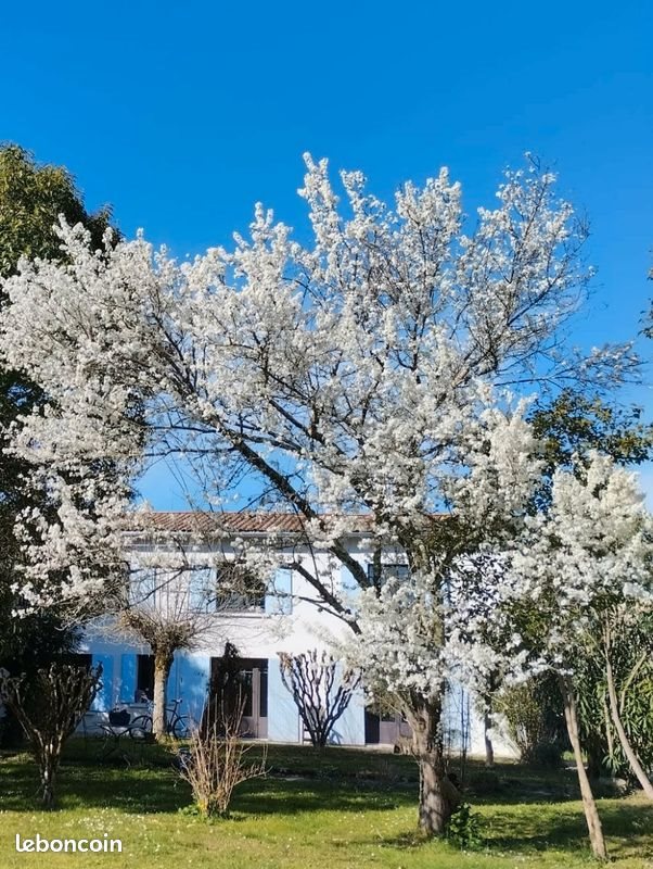 Maison à vendre, 151m², Camblanes-et-Meynac
