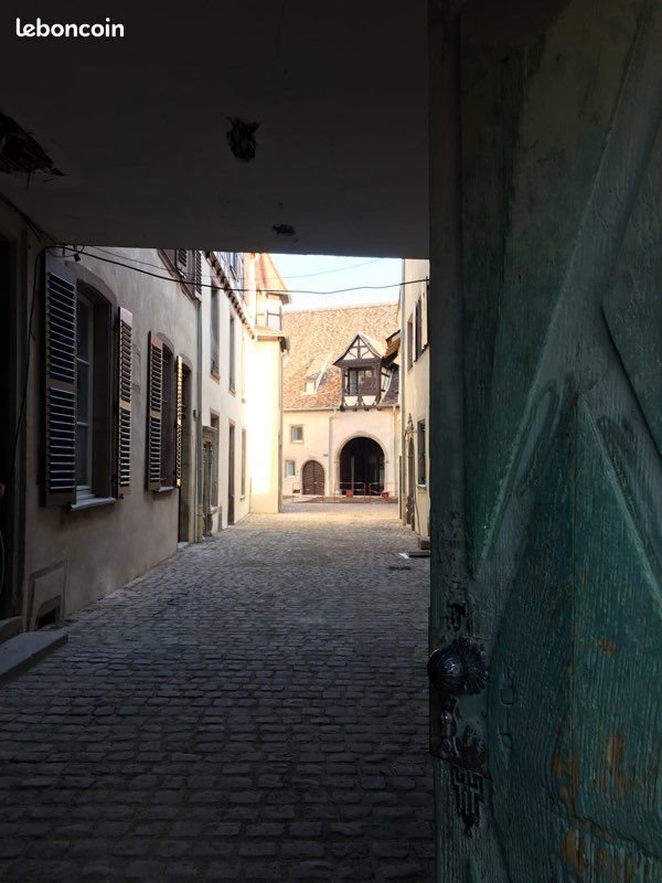 Appartement à louer, 28m², Colmar