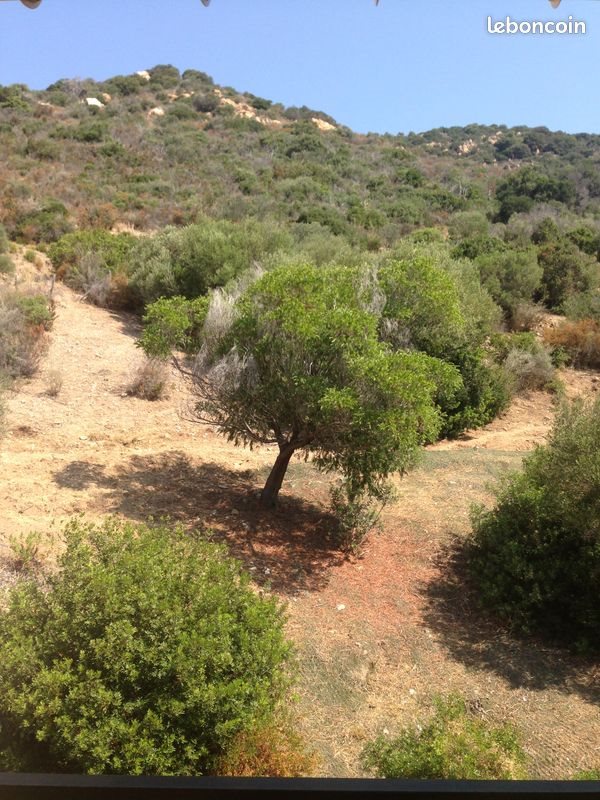 Appartement à louer, 35m², Ajaccio
