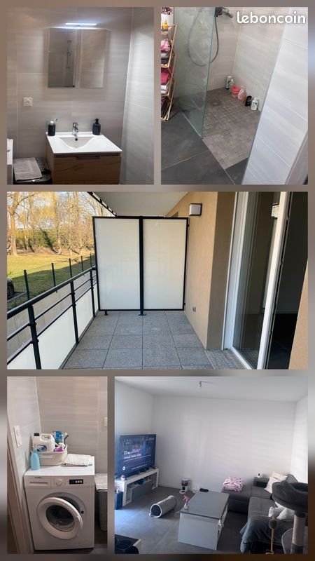Appartement à louer, 46m², Lipsheim