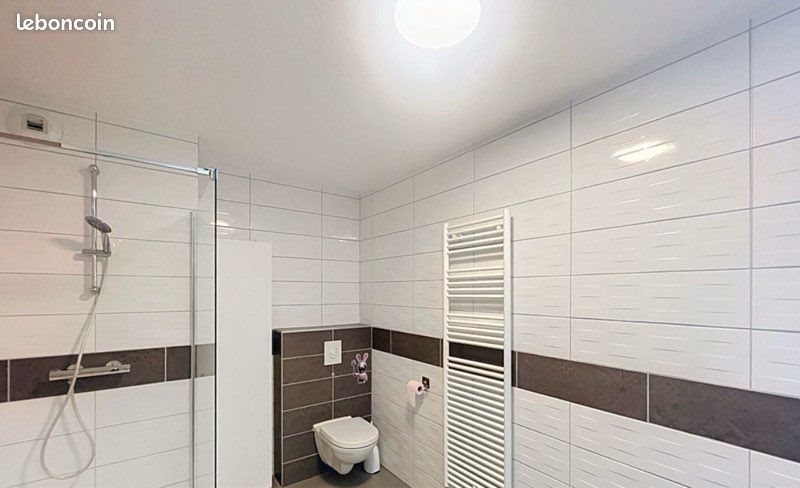 Appartement à louer, 50m², Sarrebourg