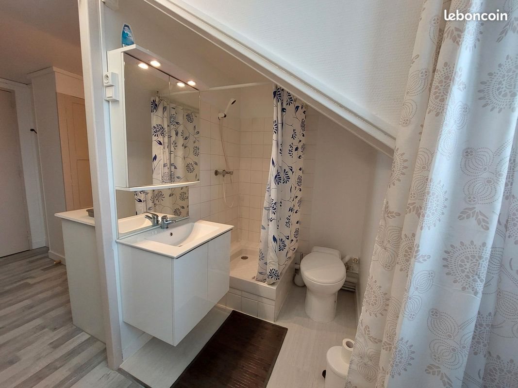 Appartement à louer, 17m², Bourges