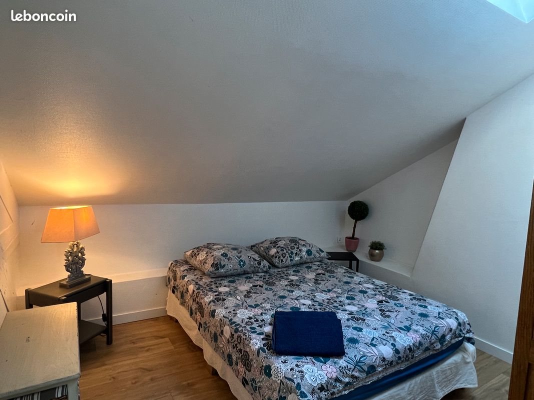 Appartement à louer, 50m², Roanne