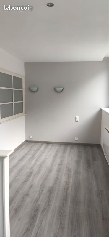 Appartement à louer, 40m², Saint-Etienne