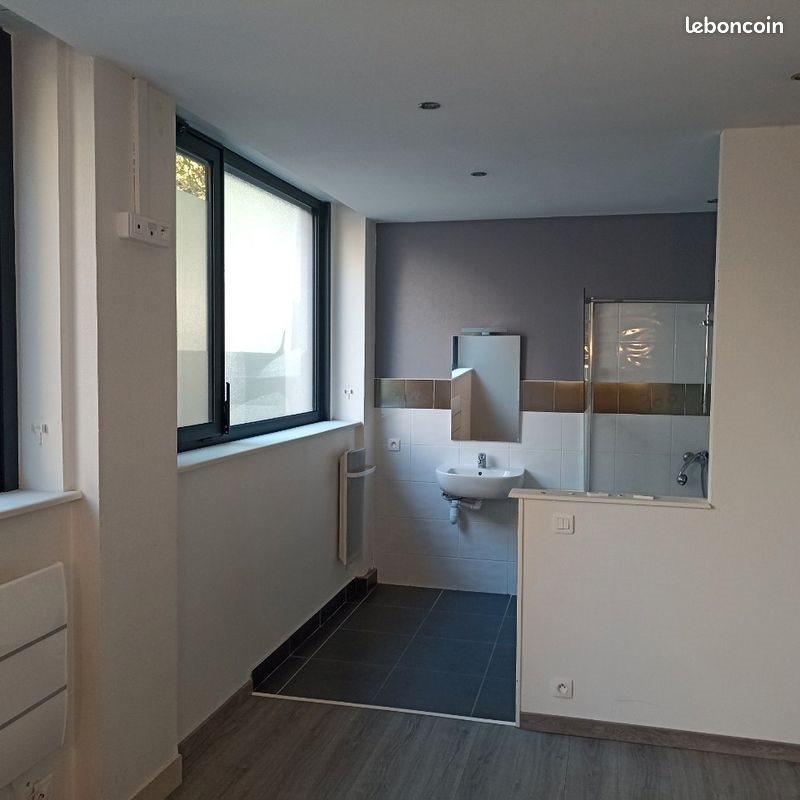 Appartement à louer, 40m², Saint-Etienne
