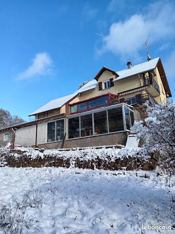 Maison à vendre, 320m², Saint-Dié-des-Vosges