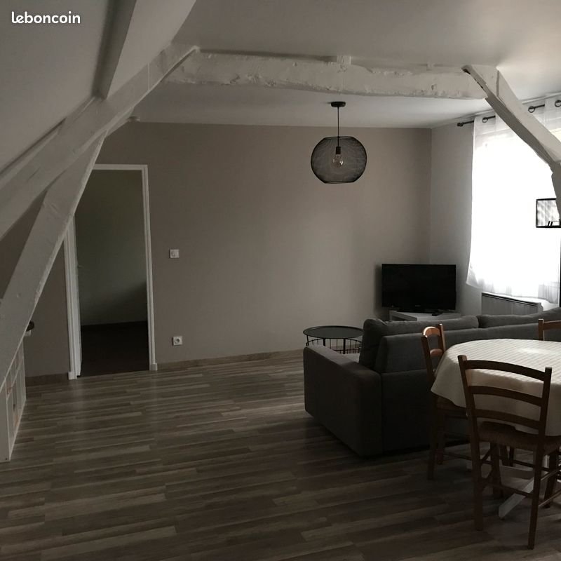 Appartement à louer, 40m², Olivet