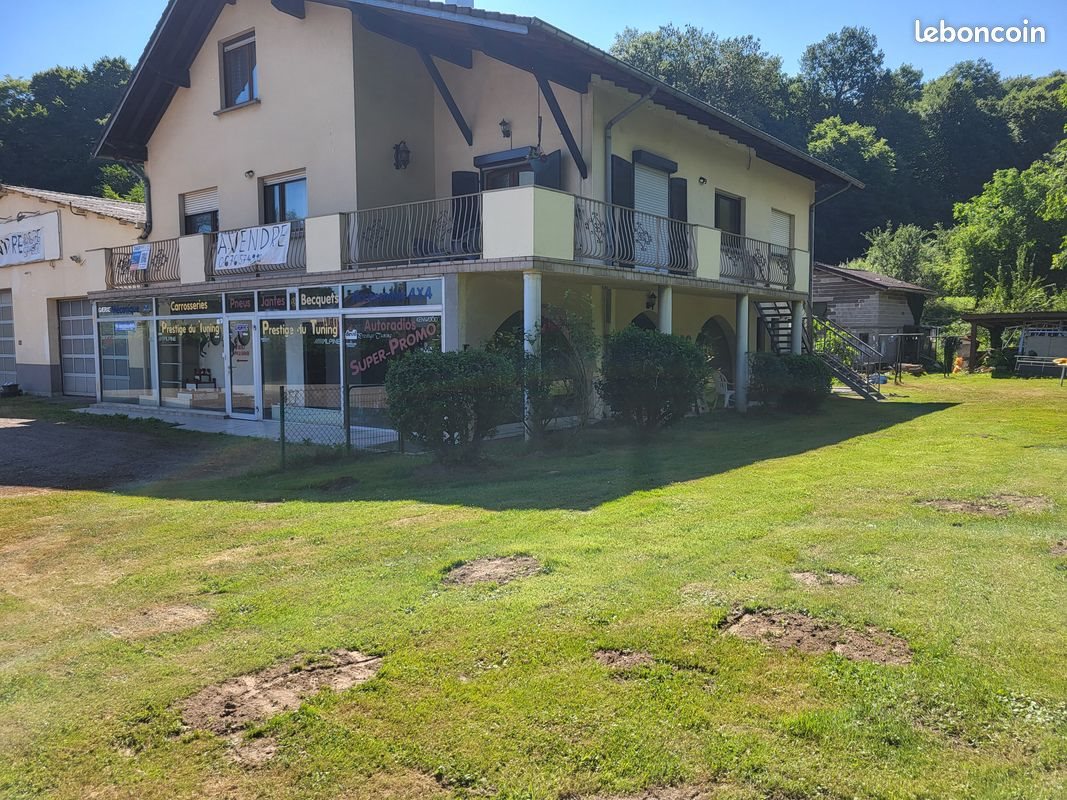 Maison à vendre, 325m², Hombourg-Haut