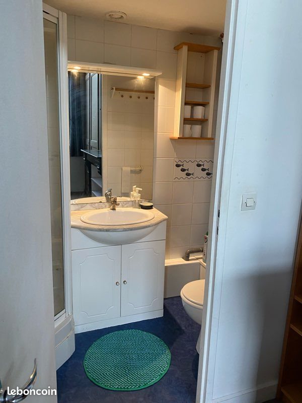 Appartement à louer, 20m², Lille