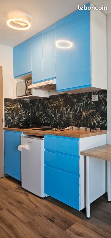 Appartement à louer, 15m², Echirolles