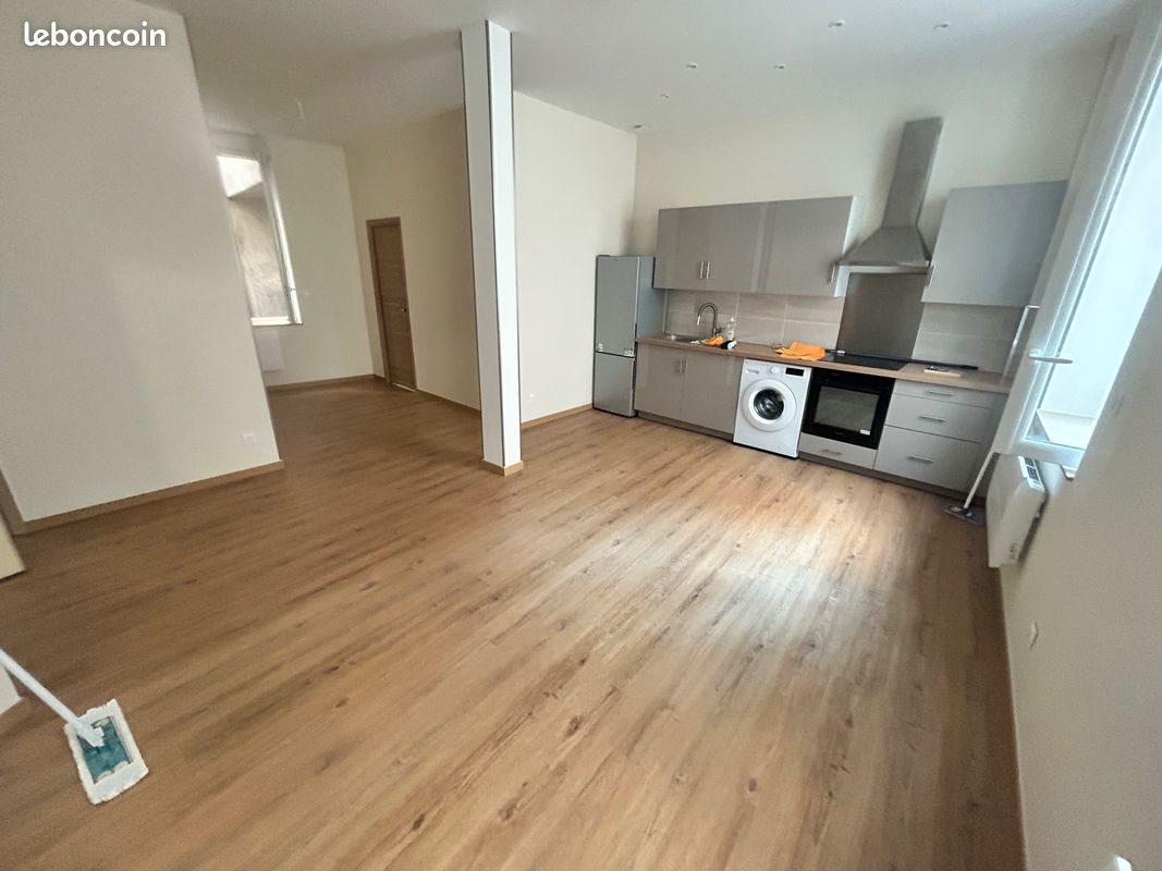 Appartement à louer, 50m², Saint-Étienne