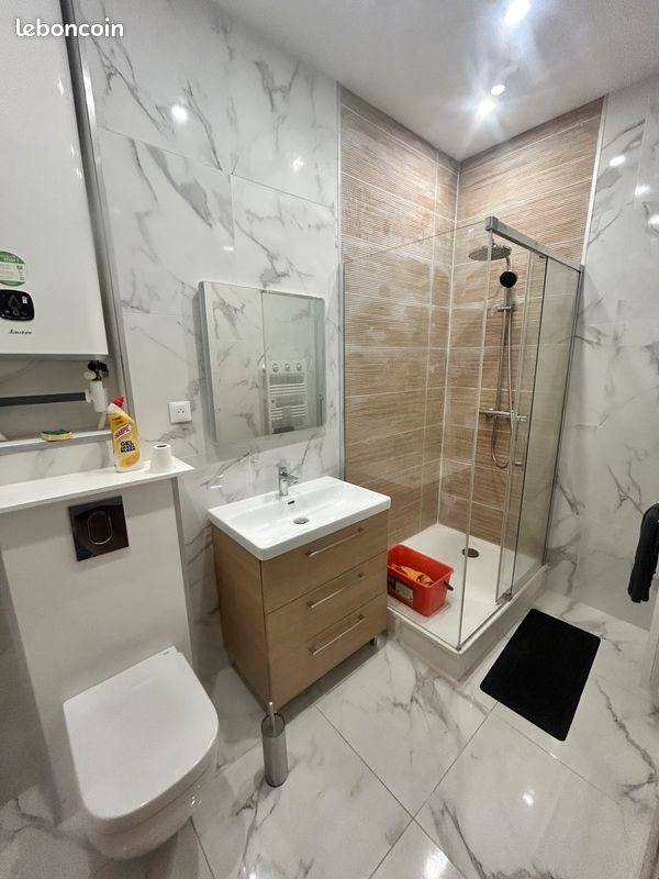 Appartement à louer, 50m², Saint-Étienne