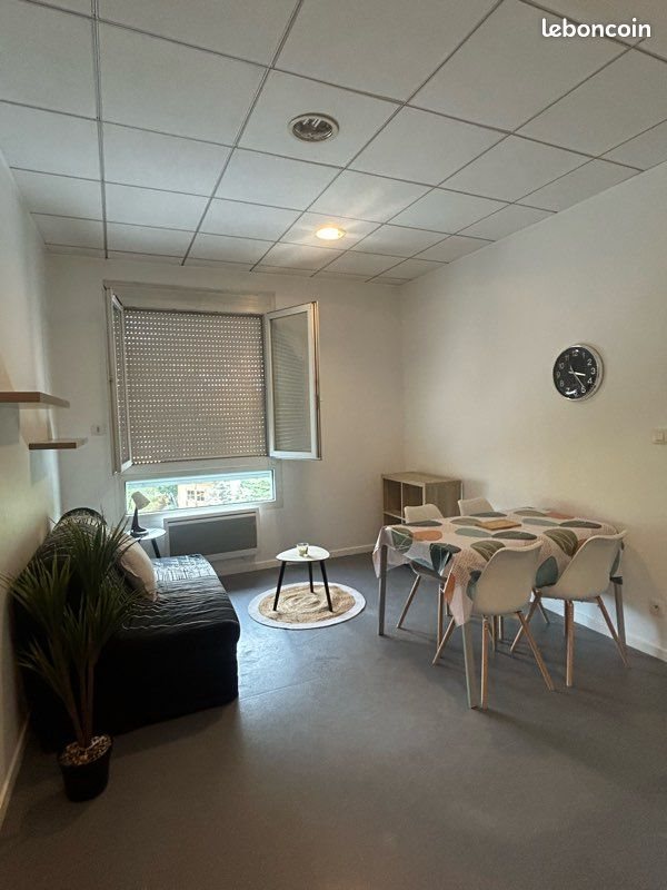 Appartement à louer, 39m², Saint-Etienne