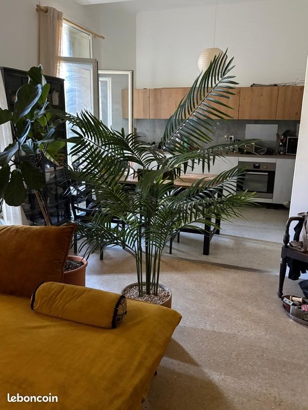 Appartement à louer, 100m², Montpellier
