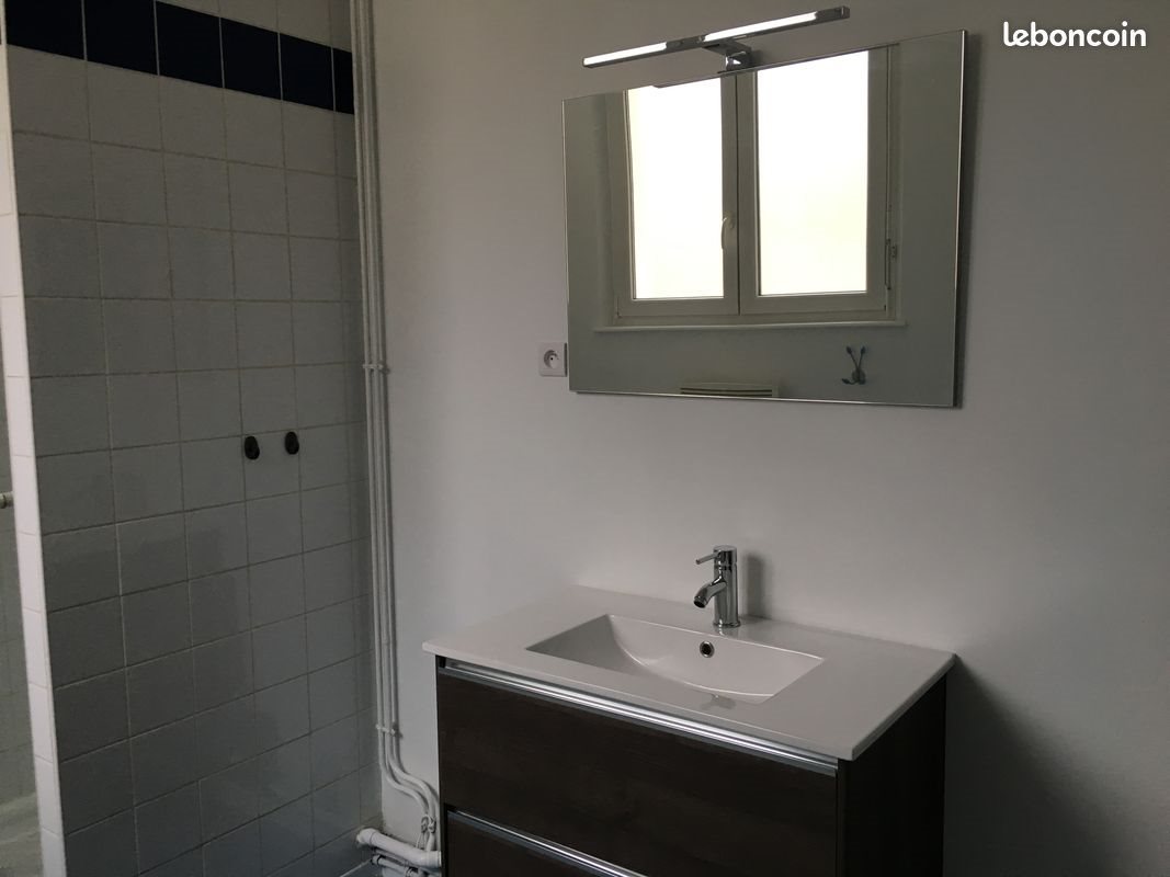 Appartement à louer, 51m², Reims