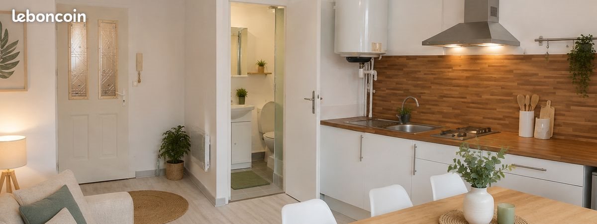 Appartement à vendre, 29m², Nantes